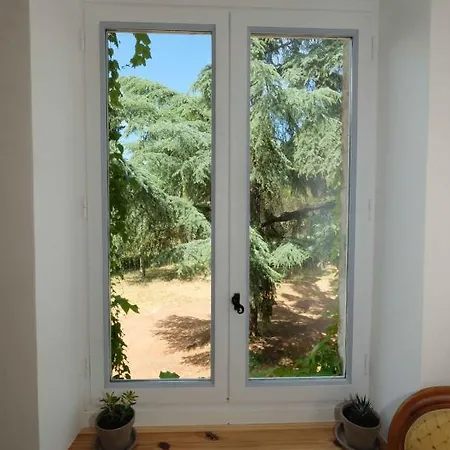 Des Antiquaires Appartement Bédarieux