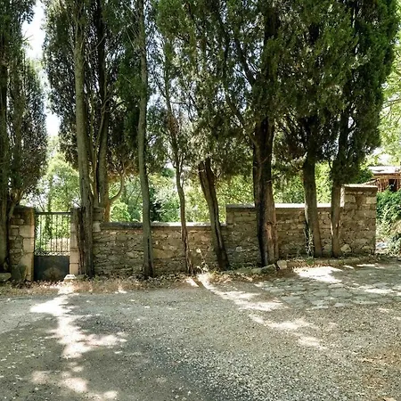 Apartament Des Antiquaires *