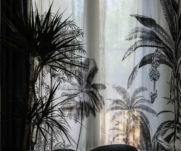 Apartman Des Antiquaires *