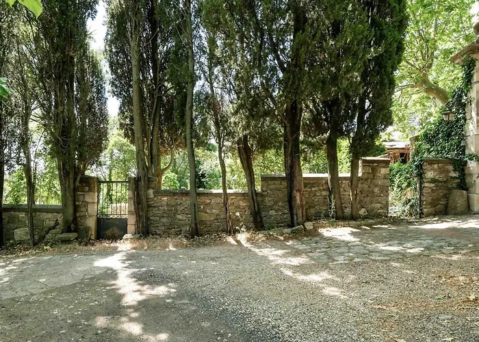 Apartament Des Antiquaires *